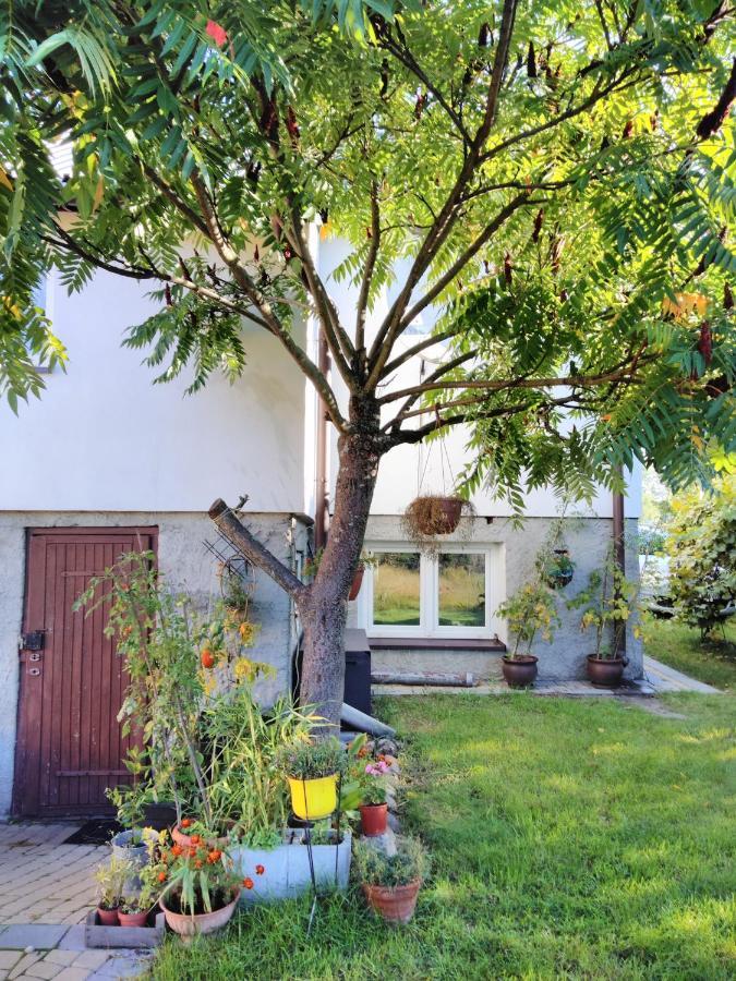 Rustykalny Apartament Siemiatycze Dış mekan fotoğraf